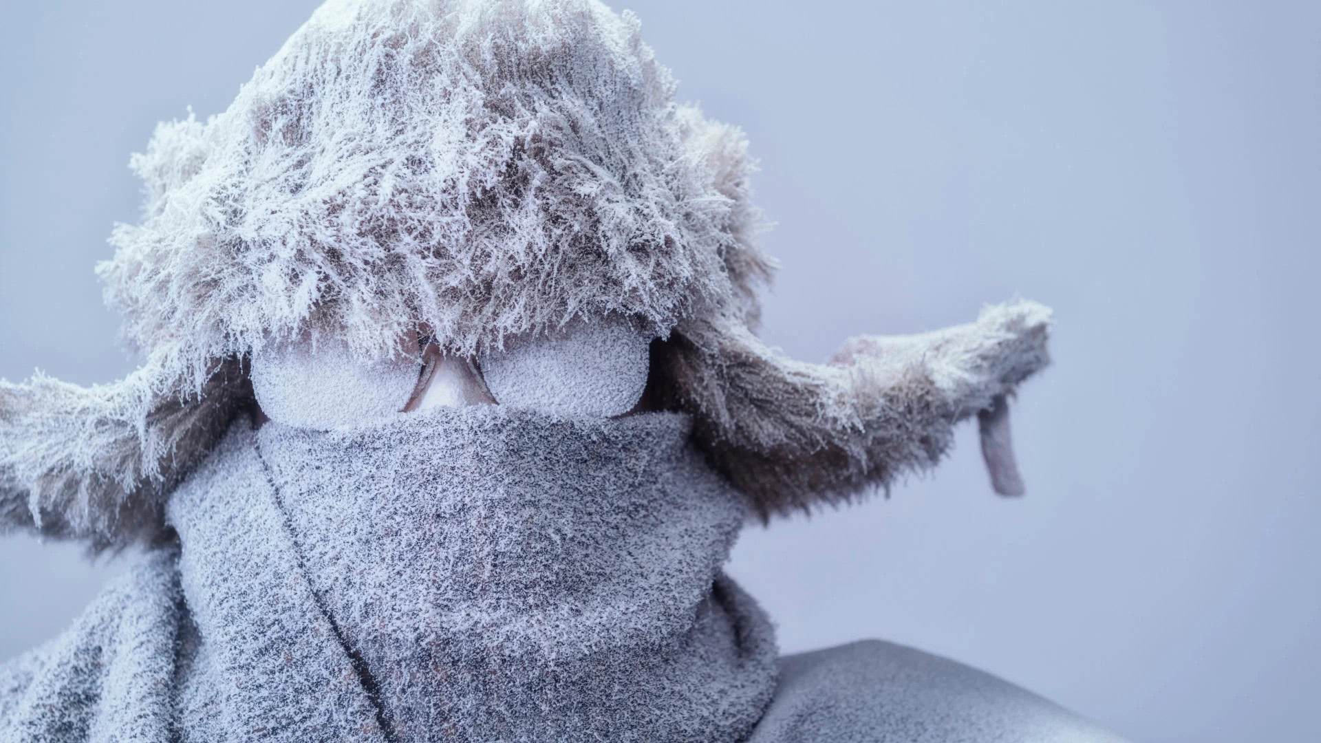 Eine Person ist vollständig mit Frost und Eis bedeckt. Die dicke Winterkleidung, die gefrorene Brille und die vereisten Fellmützenohren verstärken den Eindruck von Starre und Kälte. Das Bild symbolisiert die Starrheitsfalle, die im Ecocycle Planning überwunden werden muss, um erfolgreich zu sein.