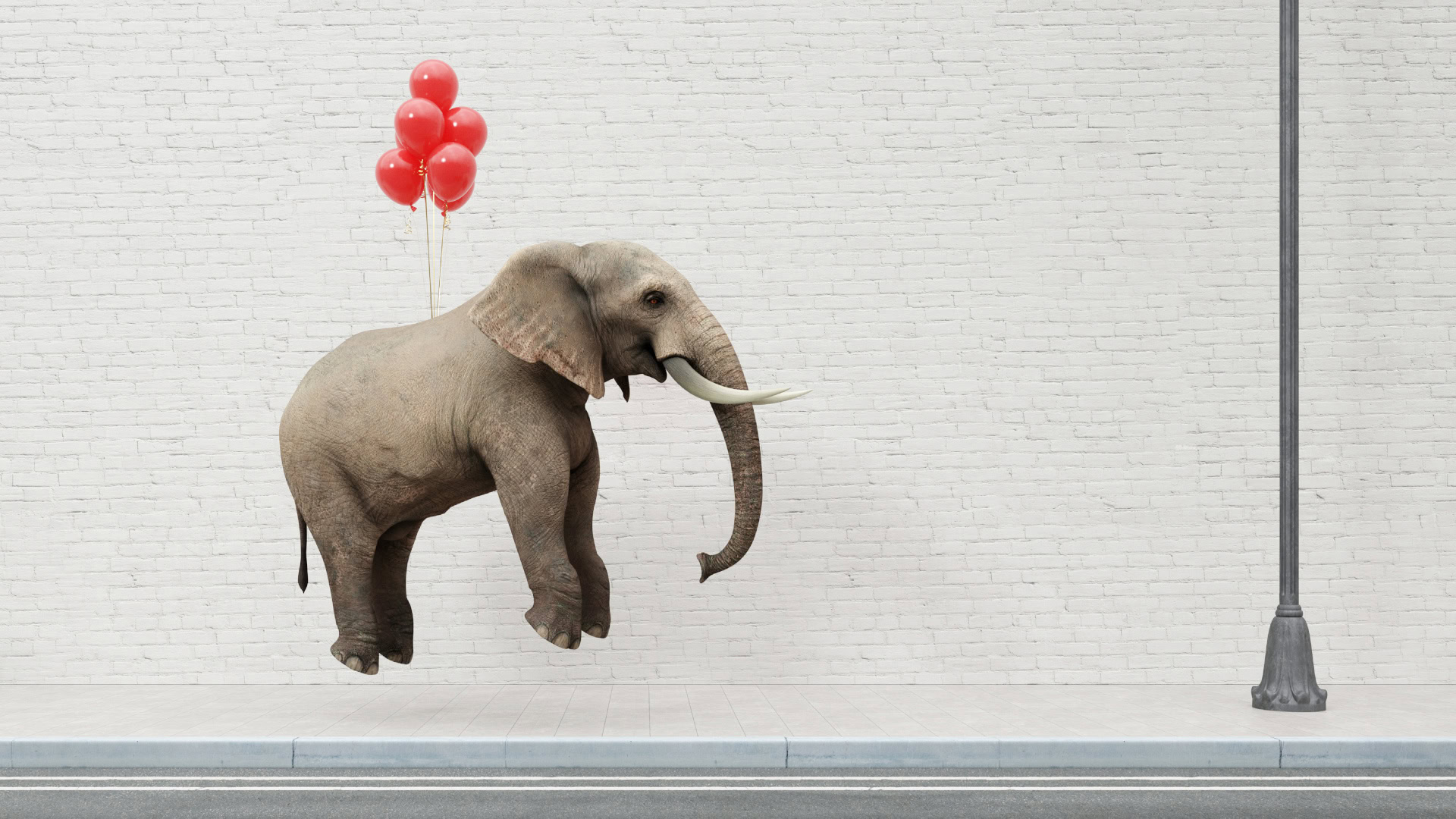 Ein Elefant schwebt knapp über dem Boden, gehalten von einem Bündel roter Luftballons, die an seinem Rücken befestigt sind. Die Szene wirkt surreal und symbolisiert das scheinbar Unmögliche, das durch kreative Lösungen realisiert werden kann. Dies steht sinnbildlich für Kundenwünsche, die auf den ersten Blick unerreichbar erscheinen, aber mit innovativen Ansätzen und individueller Unterstützung erfüllt werden können.