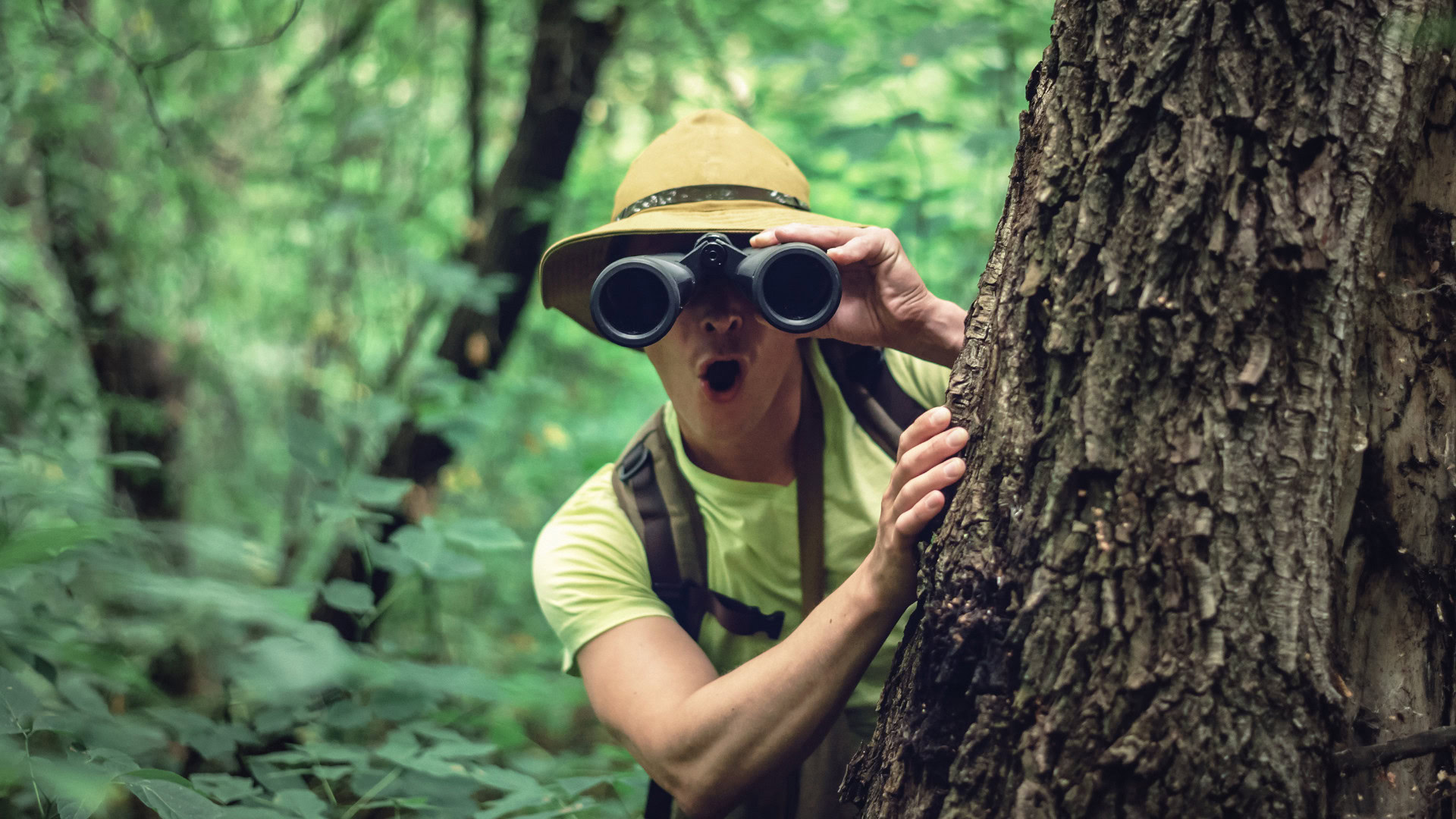 Ein Entdecker mit Hut und Fernglas späht überrascht aus einem dichten, grünen Wald hervor. Er lehnt an einem Baumstamm und wirkt, als hätte er etwas Unerwartetes entdeckt. Das Bild steht für Exploration als wichtigen Teil der Ambidextrie – gezieltes Erkunden neuer Möglichkeiten, ohne dabei die vorhandenen Strukturen aus den Augen zu verlieren.