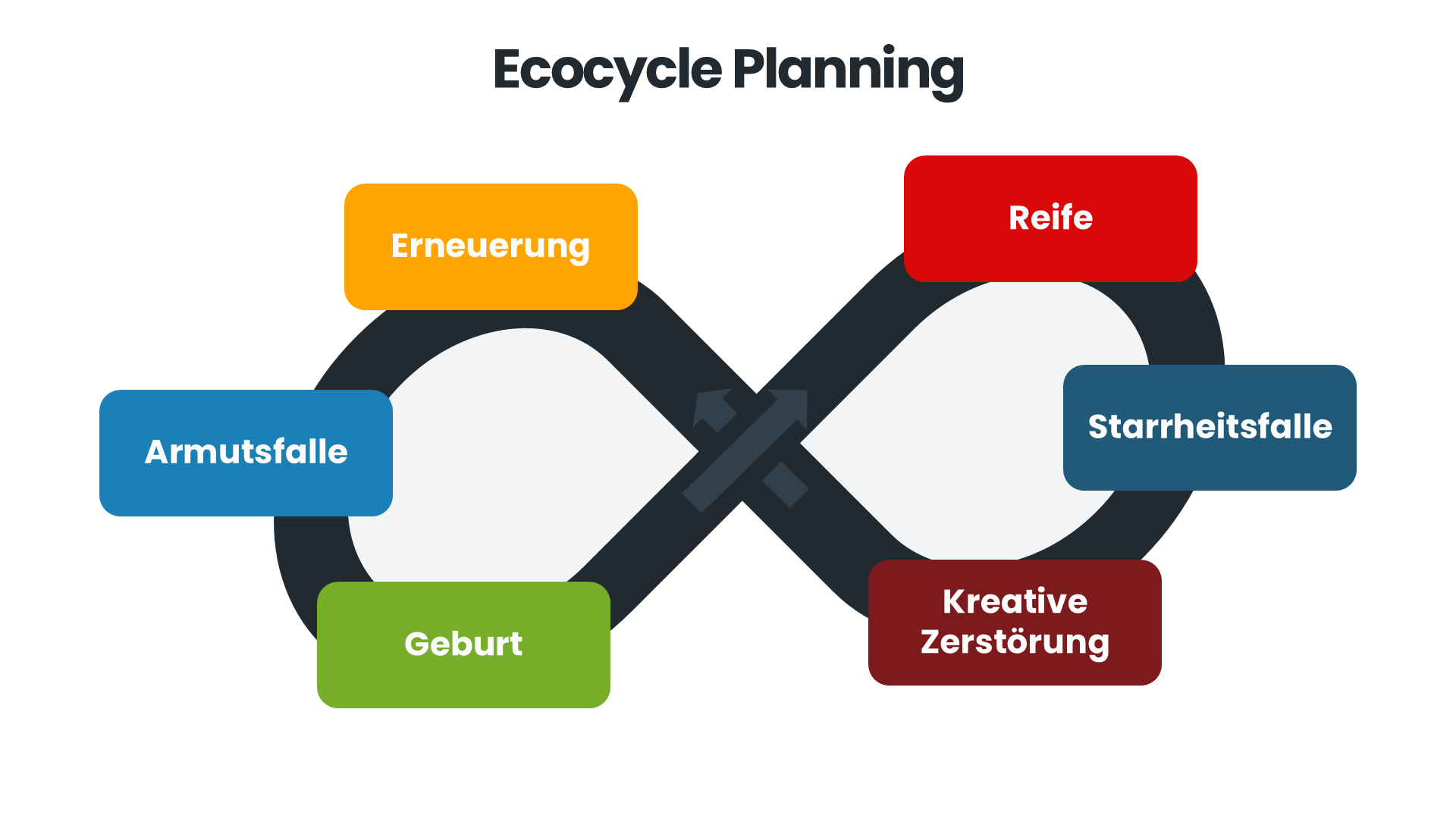 Darstellung des Ecocycle Plannings als quer liegende 8 mit Erneuerung, Geburt, Reife und Kreativer Zerstörung, sowie der Armutsfalle und der Starrheitsfalle