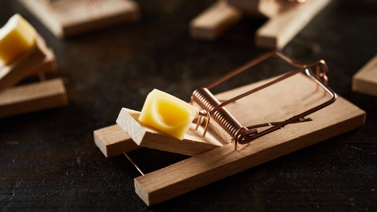 Nahaufnahme einer klassischen Mausefalle aus Holz mit einer Kupferfeder und einem Stück Käse als Köder.