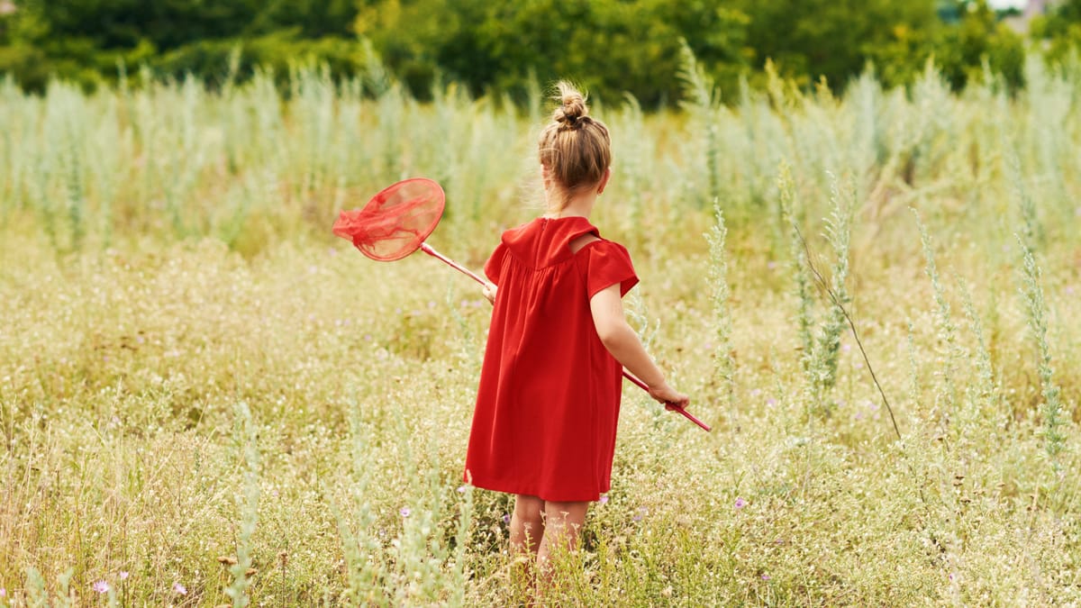 Kleines Mädchen im roten Kleid steht in einer sommerlichen Wildblumenwiese und hält ein rotes Kescher-Netz in der Hand, um Schmetterlinge zu fangen.